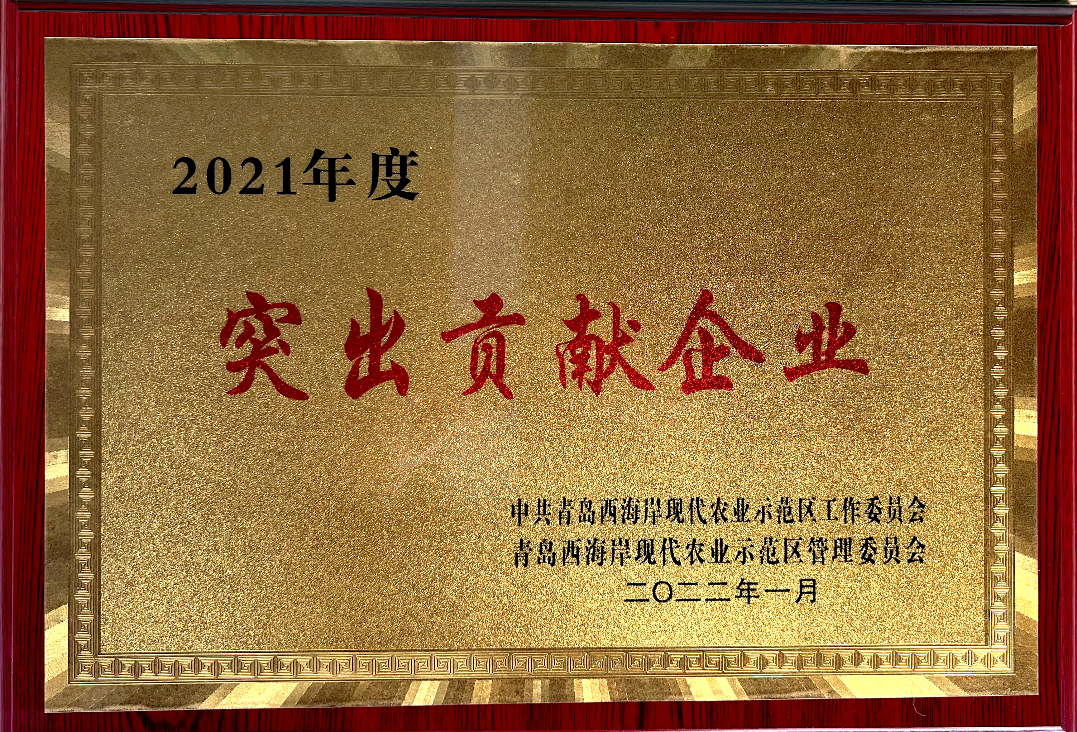 步履不停 榮耀卓然——集團各項目榮譽集錦